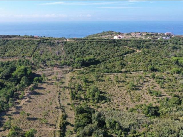 Terreno, Famalicão, Nazaré | BPI Expresso Imobiliário
