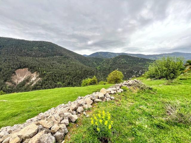 Terreno, Fanlo