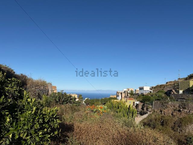Terreno, Fasnia