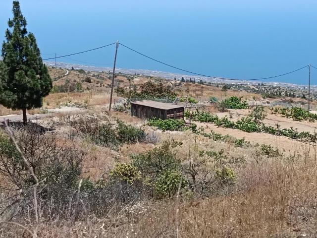Terreno, Fasnia