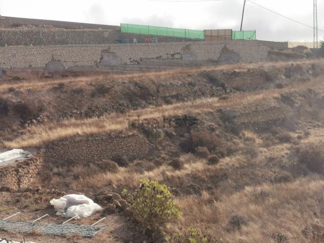 Terreno, Fasnia