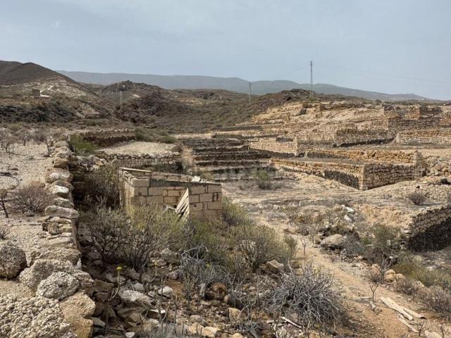 Terreno, Fasnia