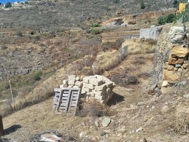 Terreno, Fasnia