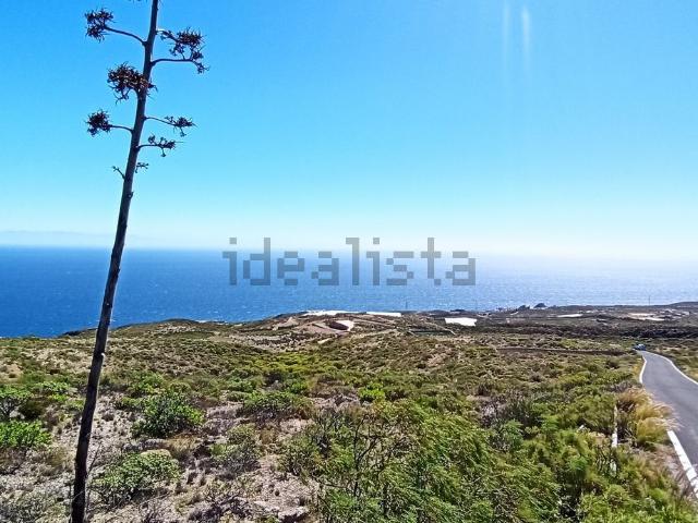 Terreno, Fasnia