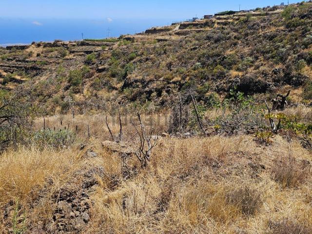 Terreno, Fasnia