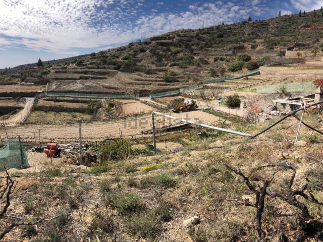 Terreno, Fasnia