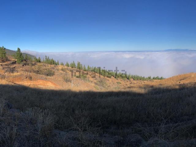 Terreno, Fasnia
