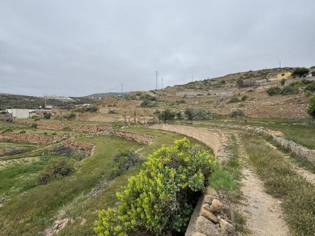 Terreno, Fasnia