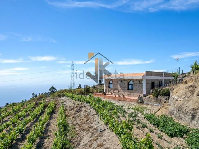 Terreno, Fasnia