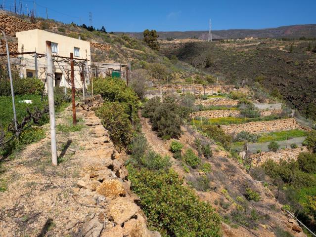 Terreno, Fasnia