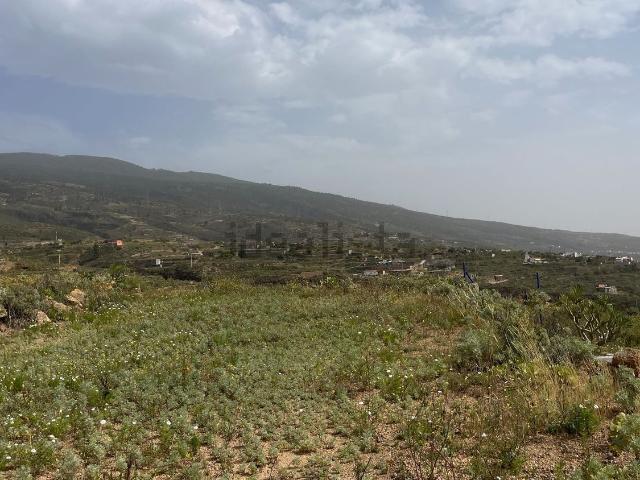 Terreno, Fasnia