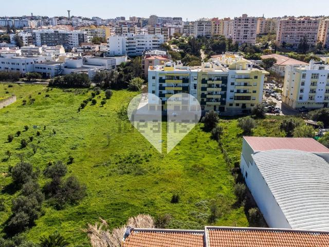 Terreno, Faro