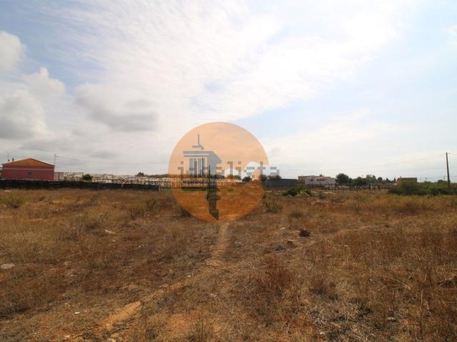 Terreno, Faro