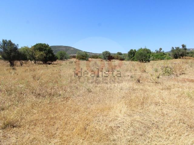 Terreno, Faro