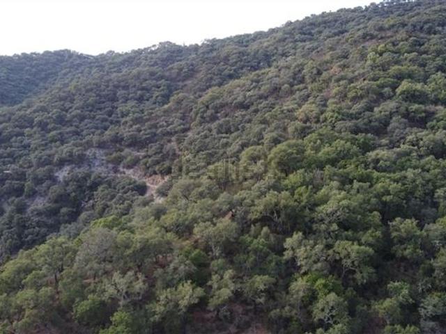 Terreno, Farajan
