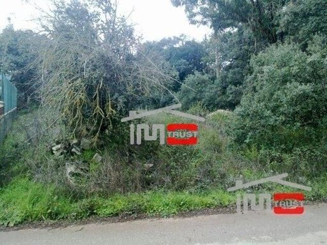 Terreno, Fátima, Ourém | BPI Expresso Imobiliário