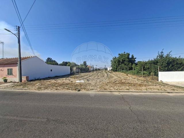 Terreno, Fazendas de Almeirim