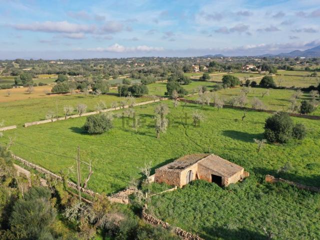 Terreno, Felanitx