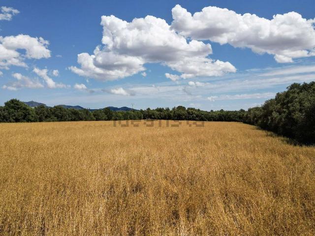 Terreno, Felanitx