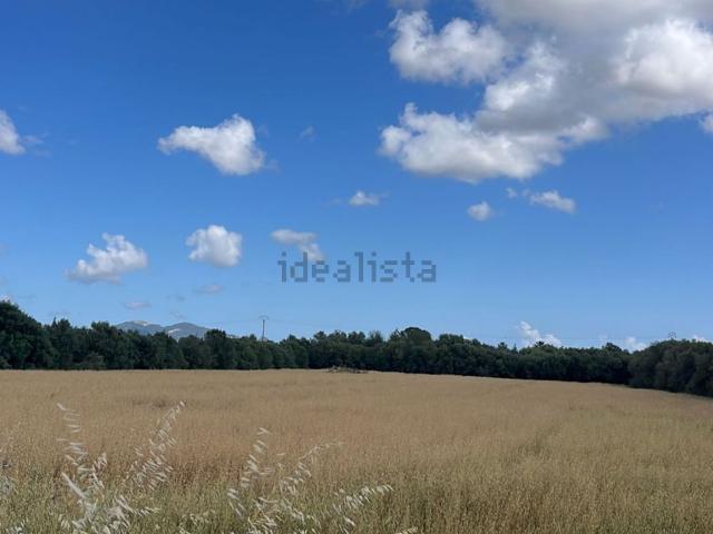 Terreno, Felanitx