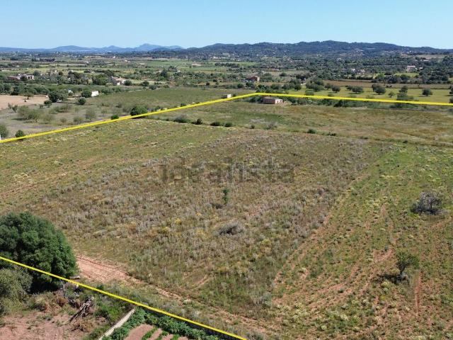 Terreno, Felanitx