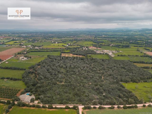 Terreno, Felanitx