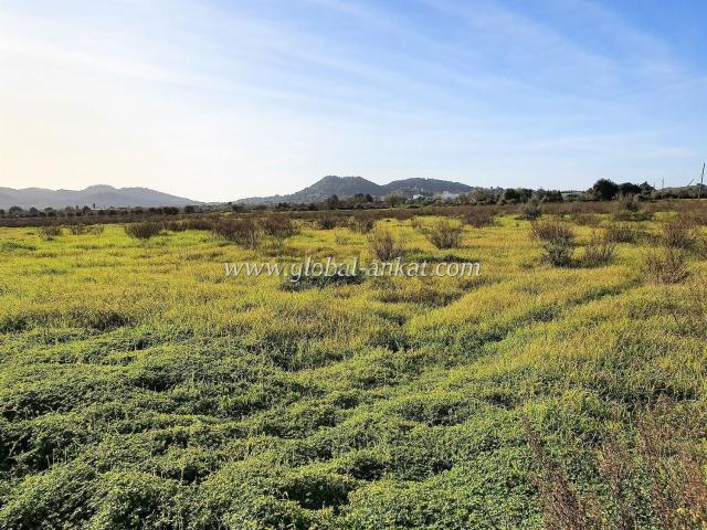 Terreno, Felanitx