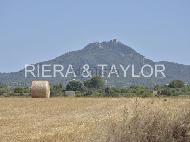 Terreno, Felanitx