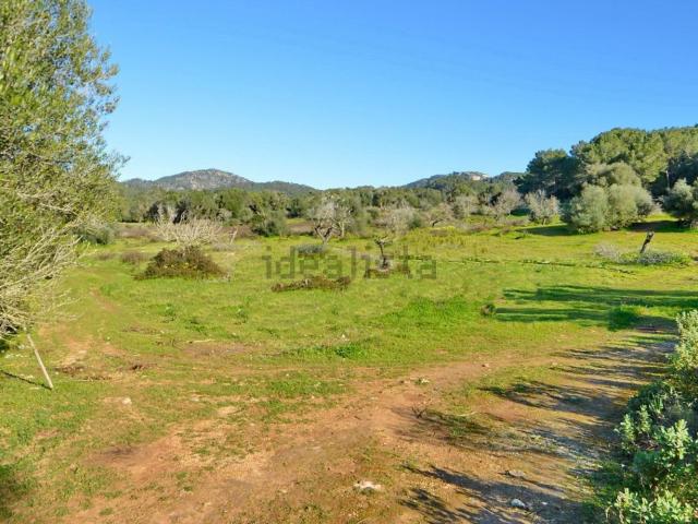 Terreno, Felanitx