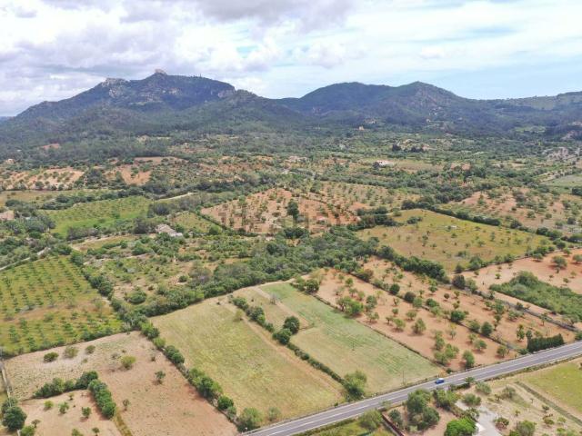 Terreno, Felanitx