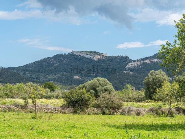 Terreno, Felanitx