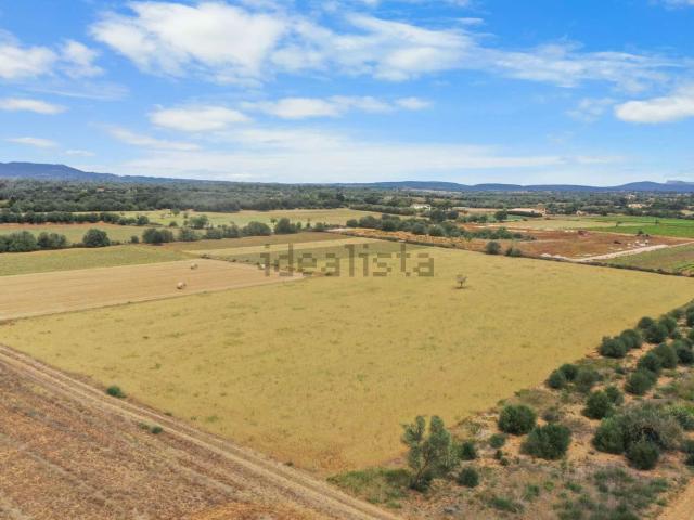 Terreno, Felanitx