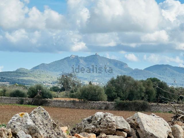 Terreno, Felanitx