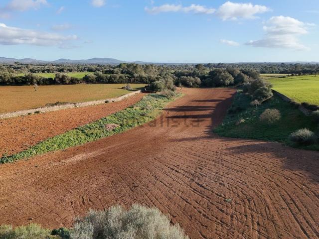 Terreno, Felanitx