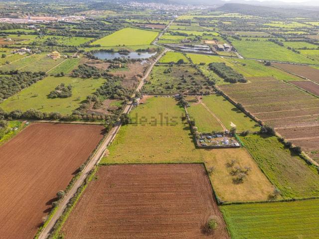 Terreno, Felanitx
