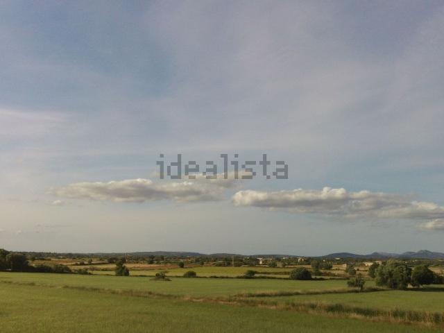 Terreno, Felanitx