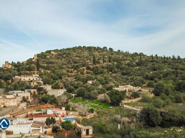 Terreno, Felanitx