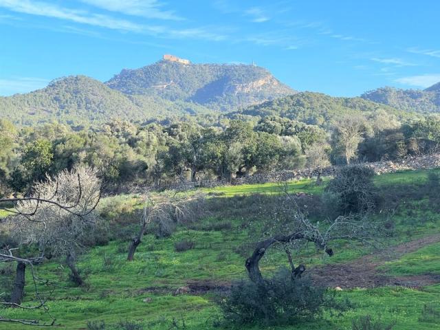 Terreno, Felanitx
