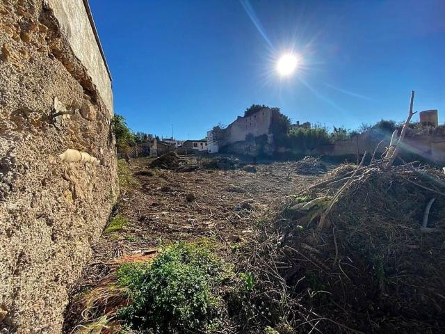 Terreno, Felanitx