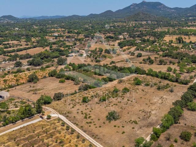 Terreno, Felanitx