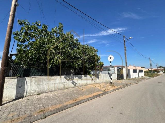 Terreno, Fernão Ferro
