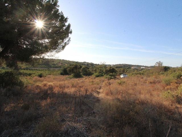 Terreno, Ferreiras
