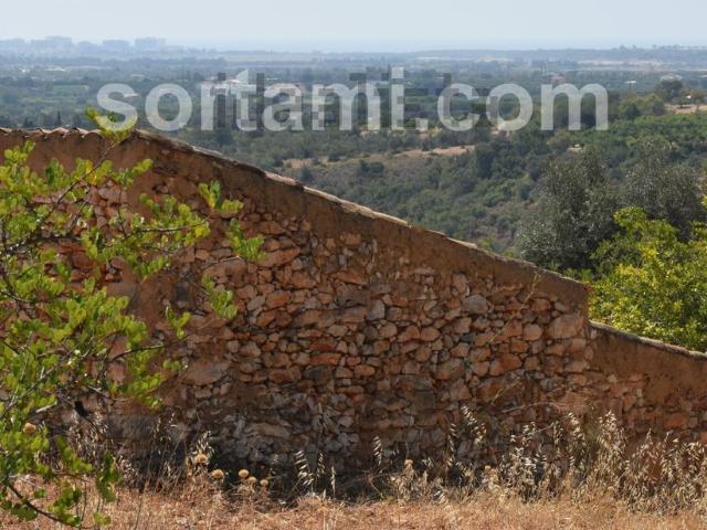Terreno, Ferreiras