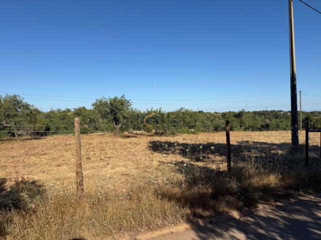 Terreno, Ferreiras