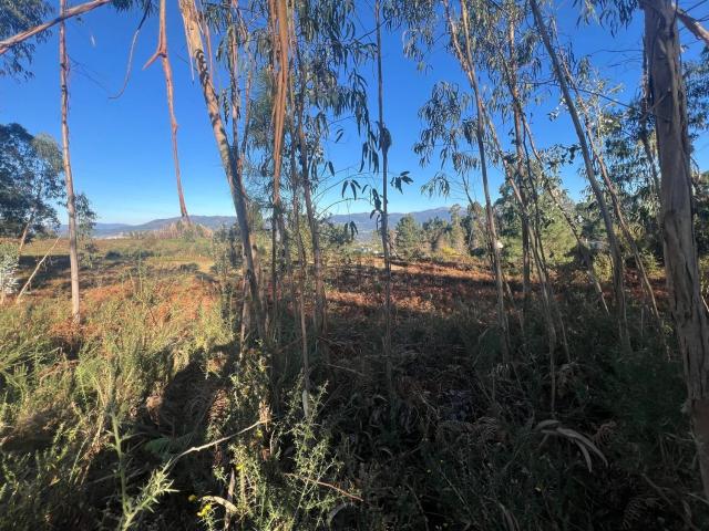 Terreno, Ferreiros