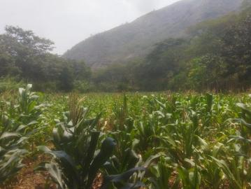 Terreno fértil, totalmente plano, al lado del río más limpio de la zona