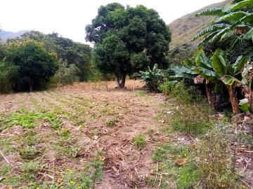 Terreno fértil, completamente plano, al lado del río más limpio de la zona
