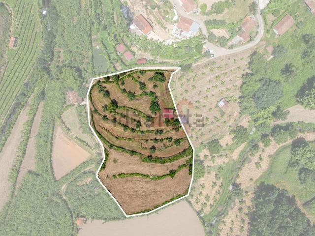 Terreno, Fervença
