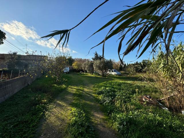 Terreno, Figueres