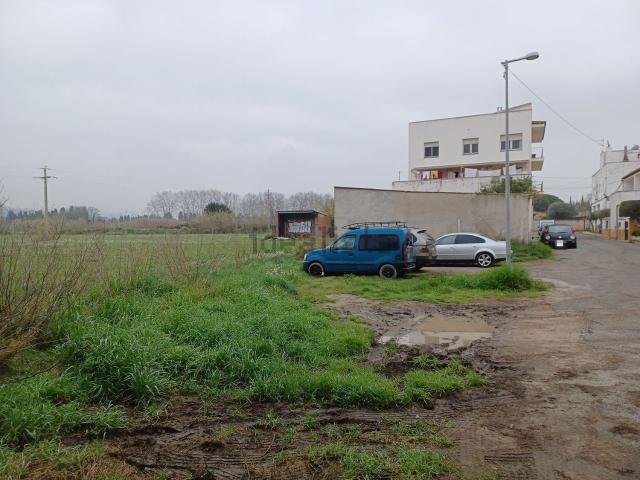 Terreno, Figueres
